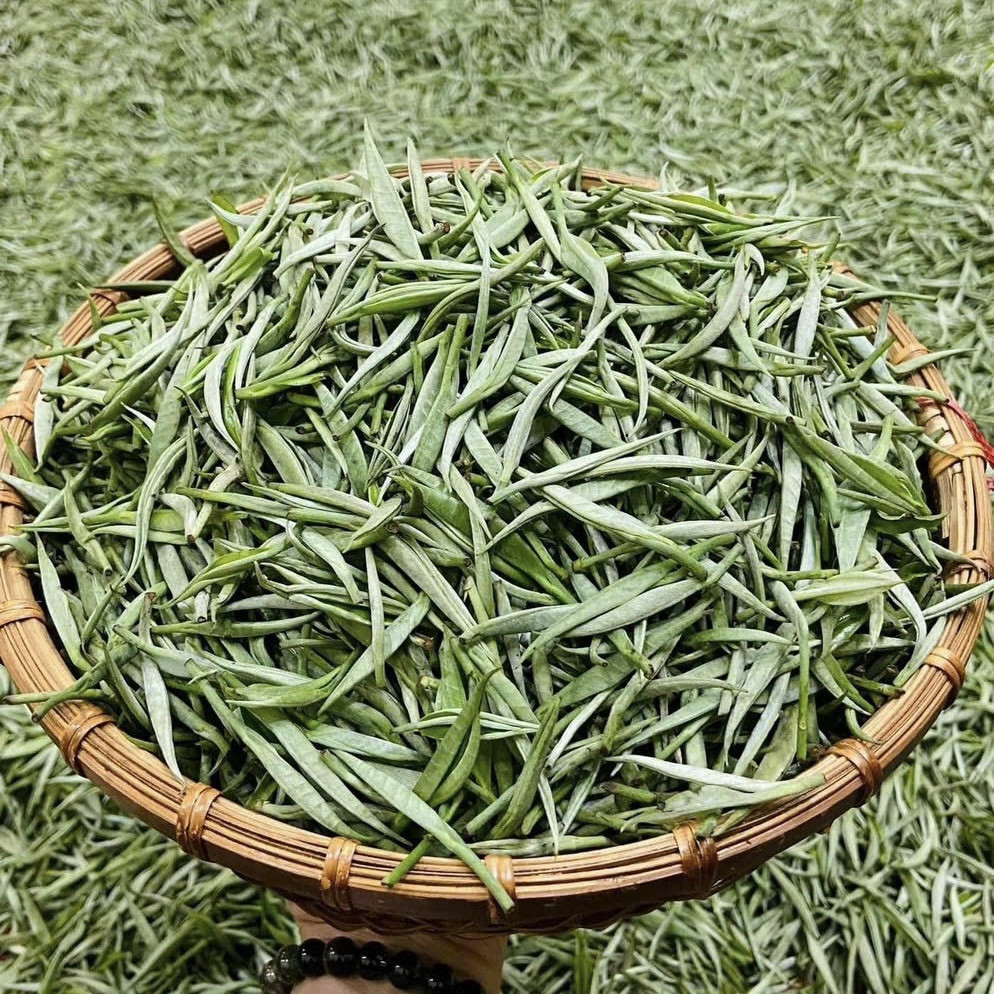 BẠCH TRÀ CỔ THỤ HÀ GIANG CAO CẤP - TUYỆT PHẨM TRÀ QUÝ VIỆT NAM - 100GRAM - QUÀ TẶNG CAO CẤP
