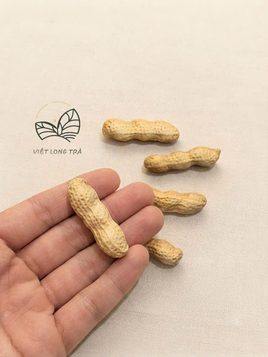 PET QUẢ ĐẬU PHỘNG (LẠC) BÀN TRÀ - Ý NGHĨA MAY MẮN TÀI LỘC