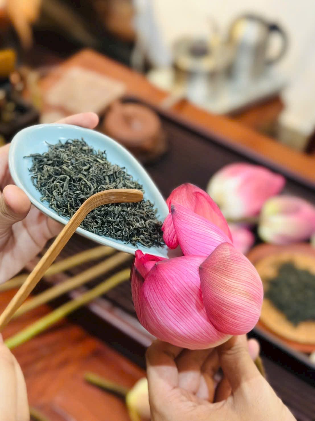 TRÀ SEN TƯƠI TỰ NHIÊN 6G - TRÀ THANH MÁT - GIẢI ĐỘC GAN (TRÀ TƯƠI CẤP ĐÔNG)