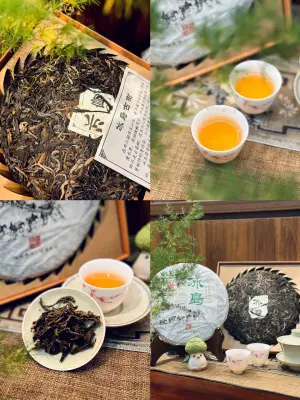 BÁNH TRÀ PHỔ NHĨ SỐNG "BĂNG ĐẢO" - 357G - NĂM 2015 - TRÀ NGON ĐẶC BIỆT