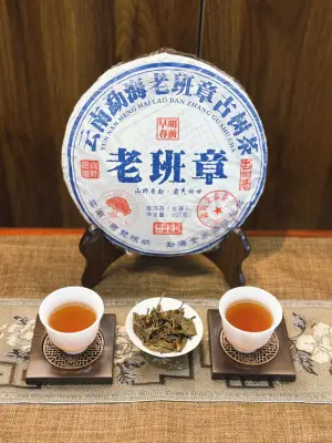 BÁNH TRÀ PHỔ NHĨ SỐNG "LÃO BAN CHƯƠNG" - 357G - NĂM 2023 - TRÀ PHỔ NHĨ NGON