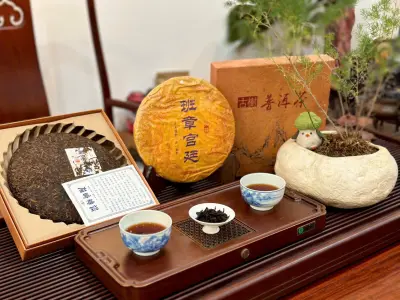 BÁNH TRÀ PHỔ NHĨ CHÍN "BANG CHƯƠNG CUNG ĐÌNH" - 357G - TRÀ NGON LÂU NĂM