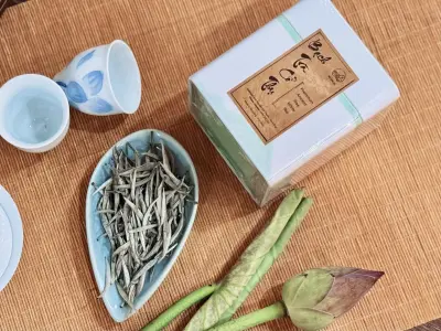 PREMIUM HA GIANG ANCIENT TREE WHITE TEA - A MASTERPIECE OF VIETNAM'S PRECIOUS TEAS - 50GRAM BOX - PREMIUM GIFT