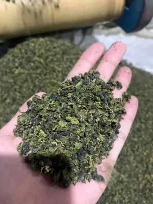 BROKEN-LEAF OOLONG TEA - BOLD FLAVOUR - EXCELLENT FOR TEA-BASED DRINKS - 500G