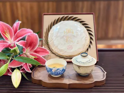 RAW PU-ERH TEA CAKE OF BAI MU DAN WHITE TEA, MISTY AROMA - 300G - FINE AGED TEA