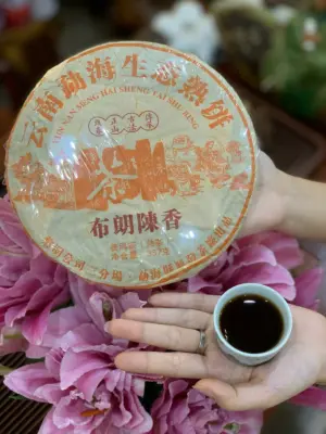 BÁNH TRÀ PHỔ NHĨ CHÍN "BỐ LÃNG TRẦN HƯƠNG" - 357G - TRÀ TIÊU HÓA KHỎE