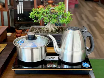 KAMJOVE F8 AUTOMATIC ELECTRIC TEA-BREWING WATER BOILER SET - LED DISPLAY
