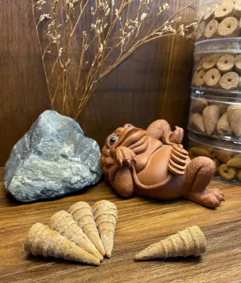 LẠNG SƠN SNOW CYPRESS BUDS — 100% NATURAL — NO ADDITIVES — DELICATE AROMA